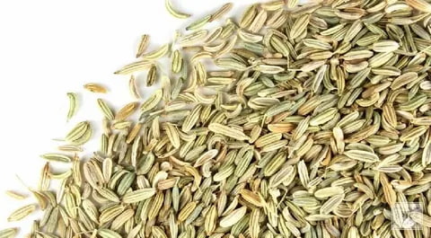 تصویر 1 از زیره سبز کوهی با طعم قوی و خواص طبیعی ویژه